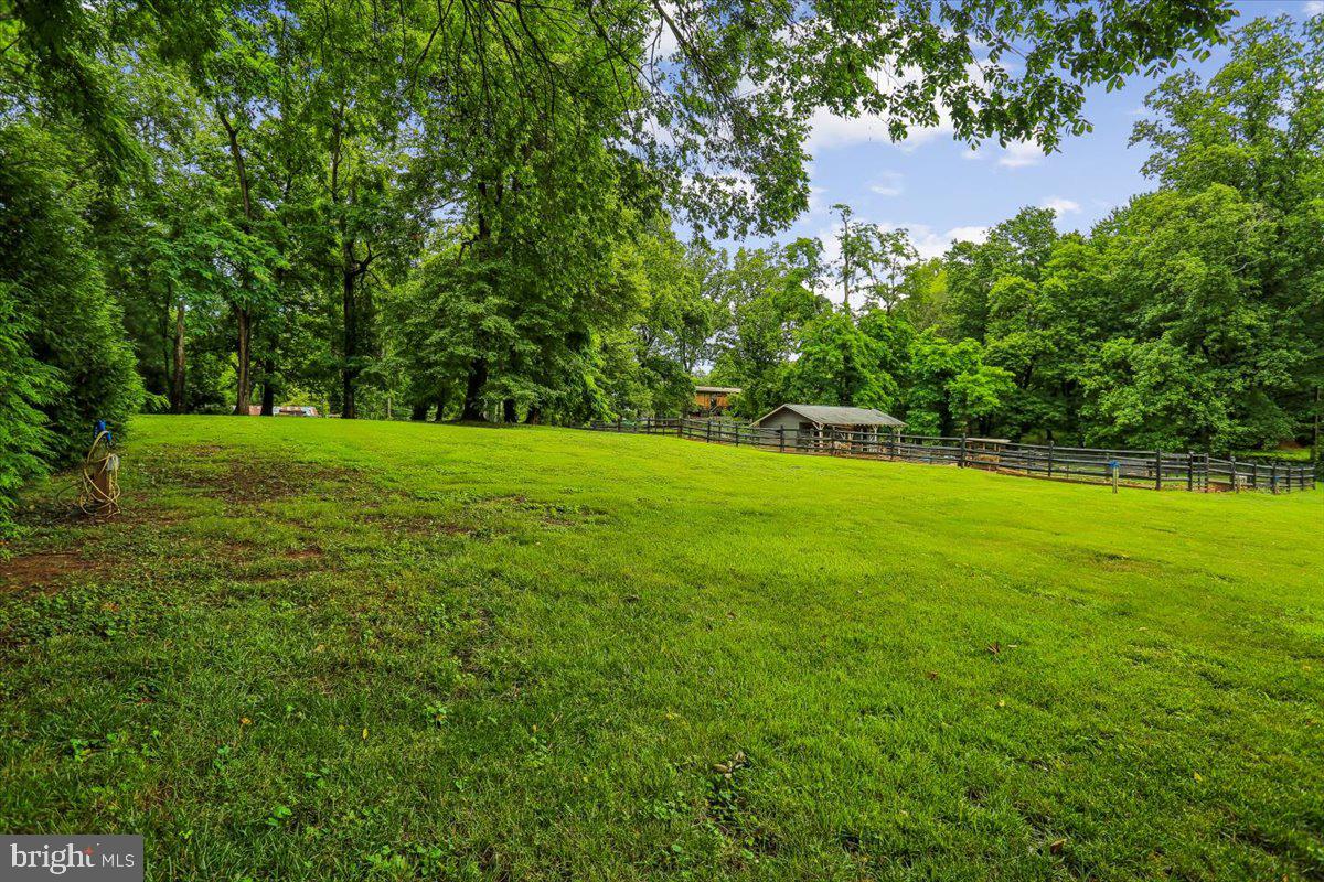 8603 Brickyard Road Potomac, MD 20854 - Photo 107 of 135 Rear Yard