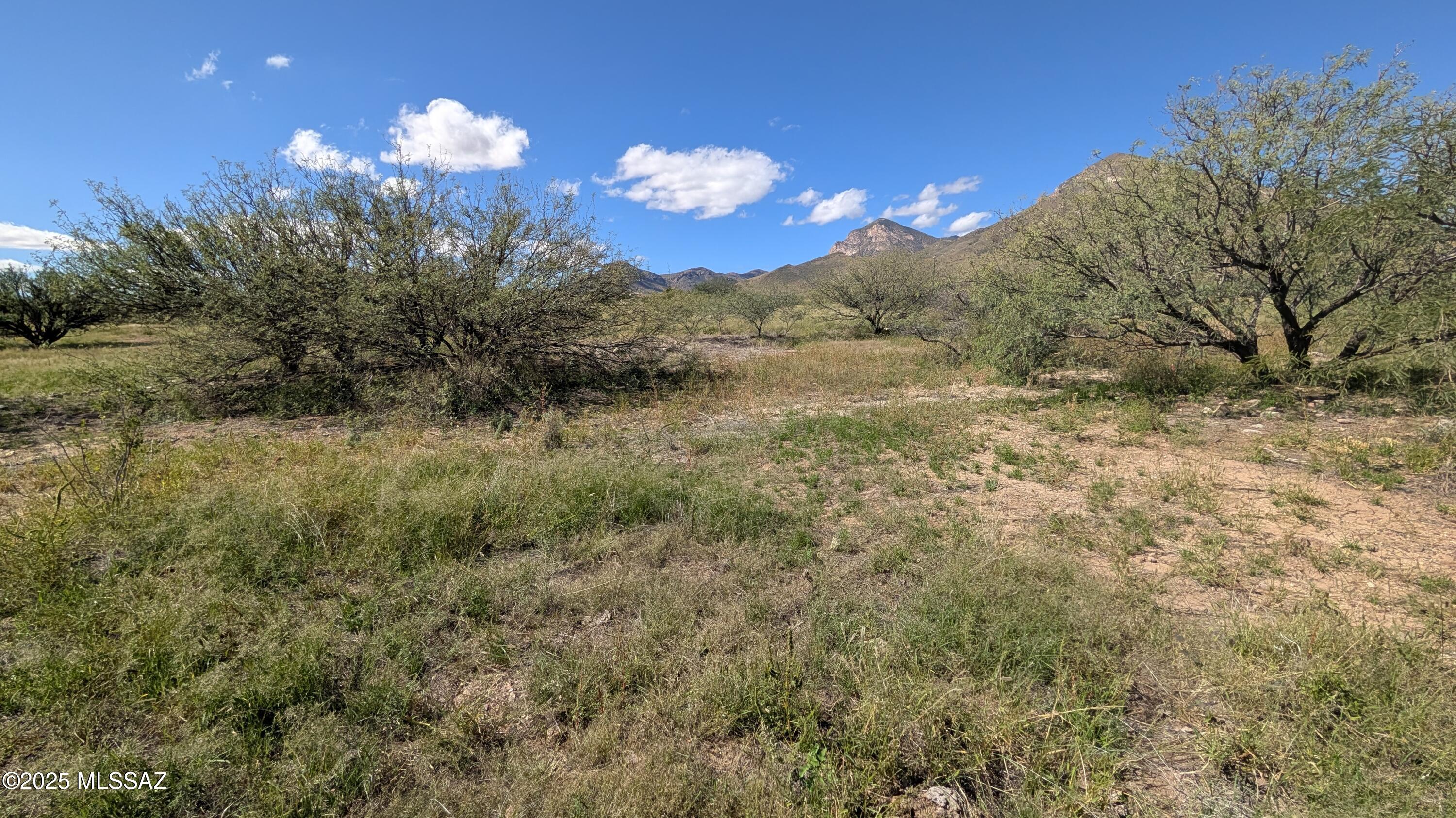Tbd South Coronado Memorial Road Hereford, AZ 85615 - Photo 18 of 27