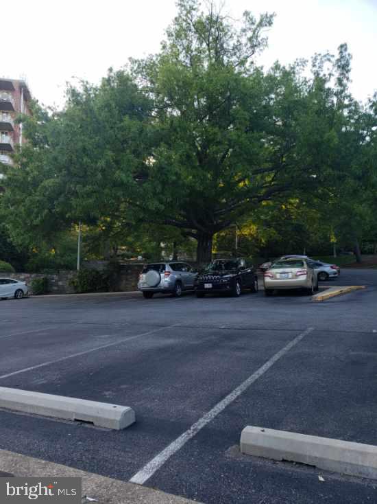 4000 Tunlaw Road Northwest, Unit 13 Washington, DC 20007 - Photo 3 of 6