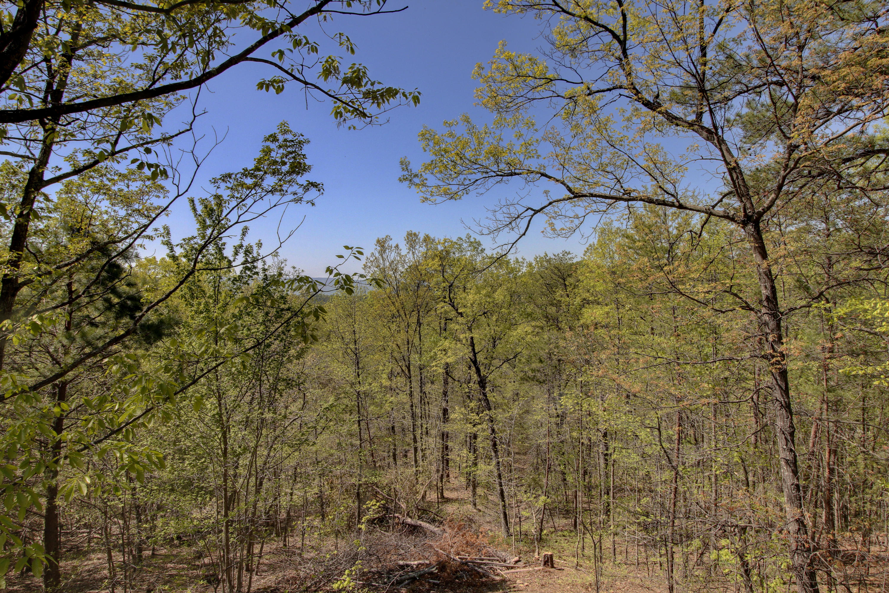 5191 Fox Ridge Road Southwest Roanoke, VA 24018 - Photo 52 of 56 Private Backyard