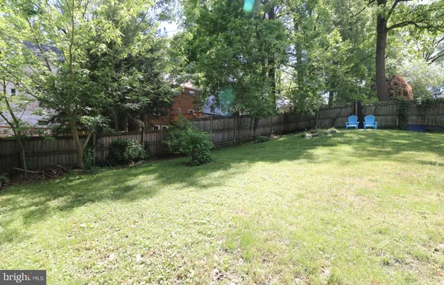 a view of a backyard with a tree