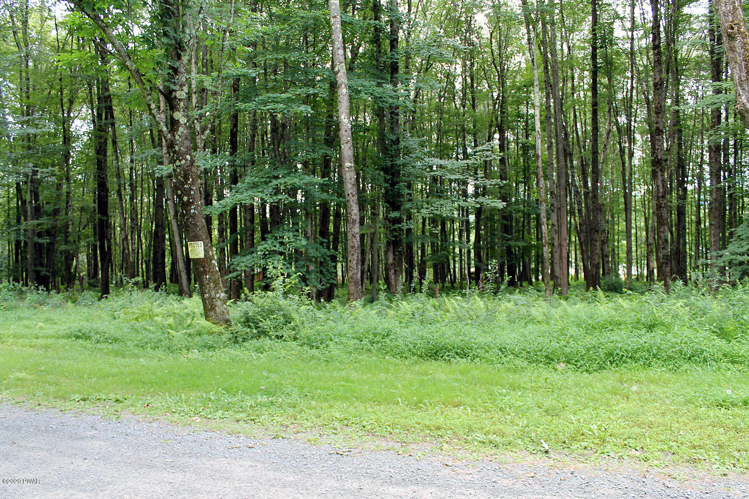 Lot 18 Stonefence Road Damascus, PA 18415 - Photo 5 of 10 IMG_3104
