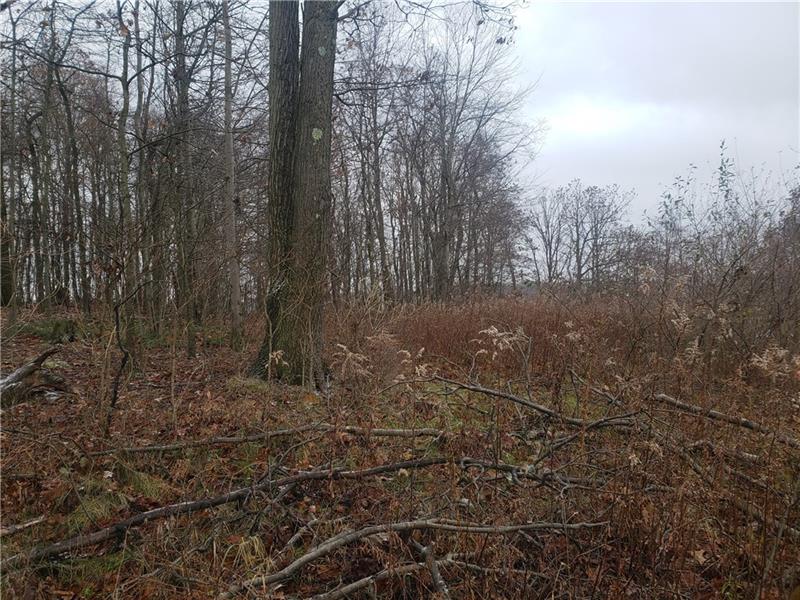 - Cherry Road Chicora, PA 16025 - Photo 3 of 6