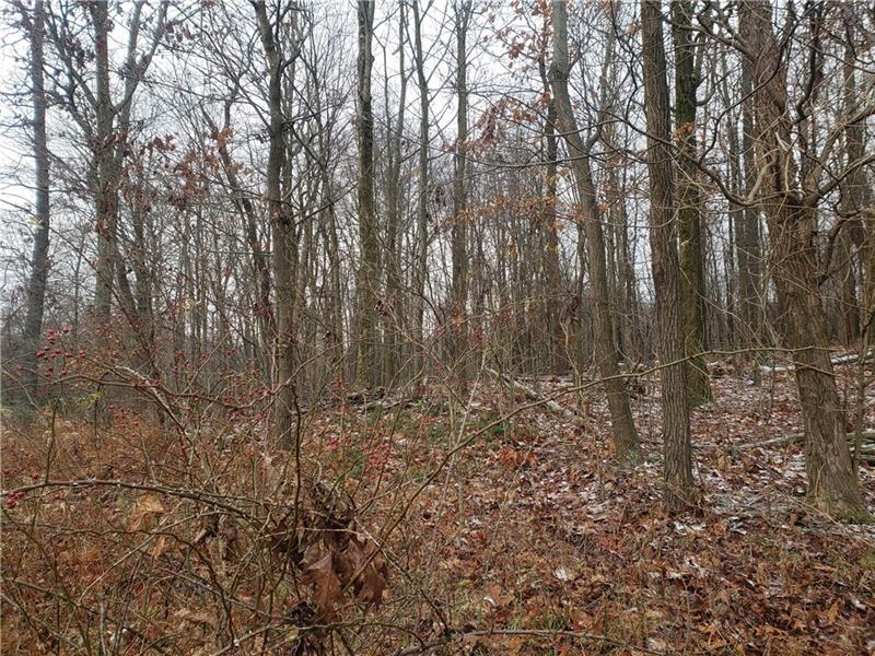 - Cherry Road Chicora, PA 16025 - Photo 4 of 6