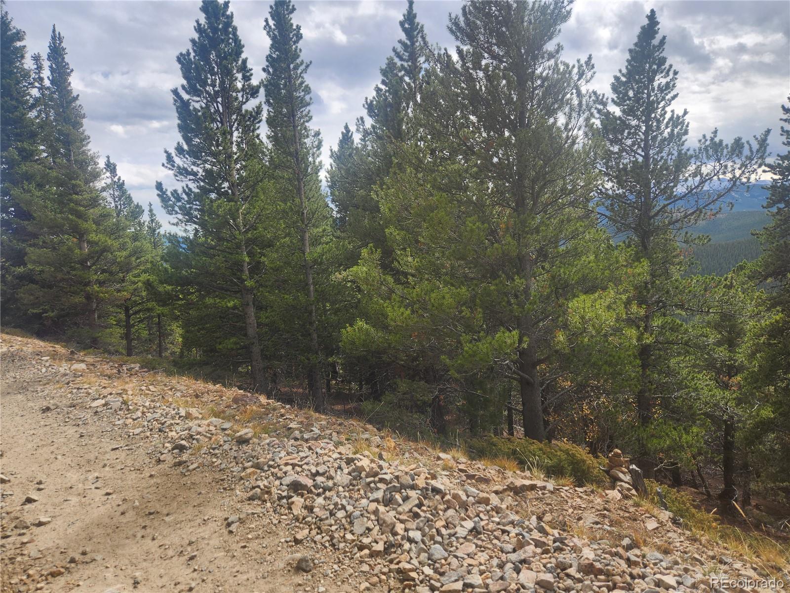 491 Hilltop Road Idaho Springs, CO 80452 - Photo 13 of 19 a view of a yard with a tree