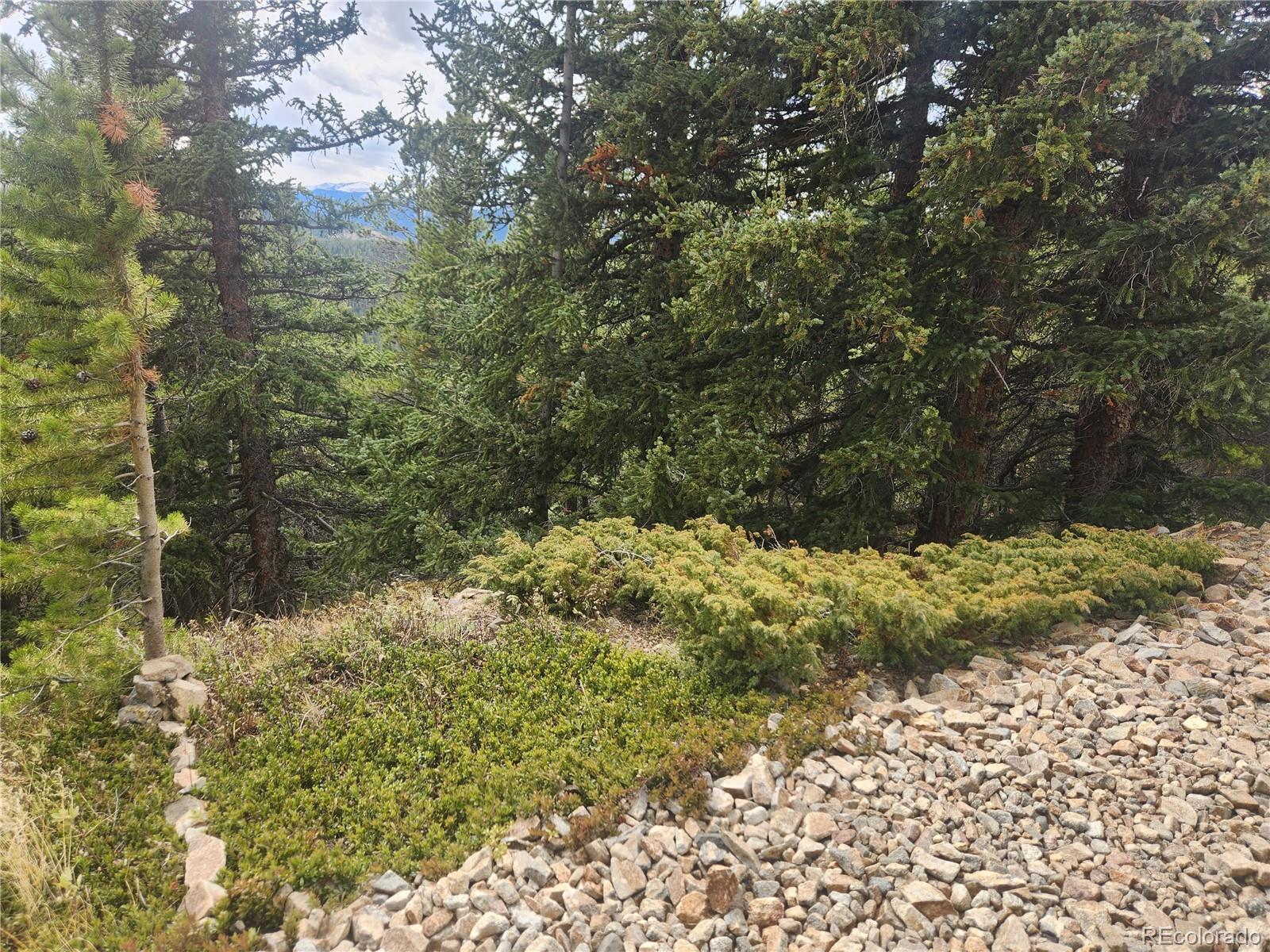 491 Hilltop Road Idaho Springs, CO 80452 - Photo 15 of 19 a view of a yard with plants and wooden fence