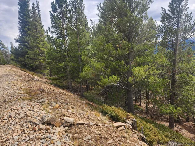 a view of a pathway with a yard