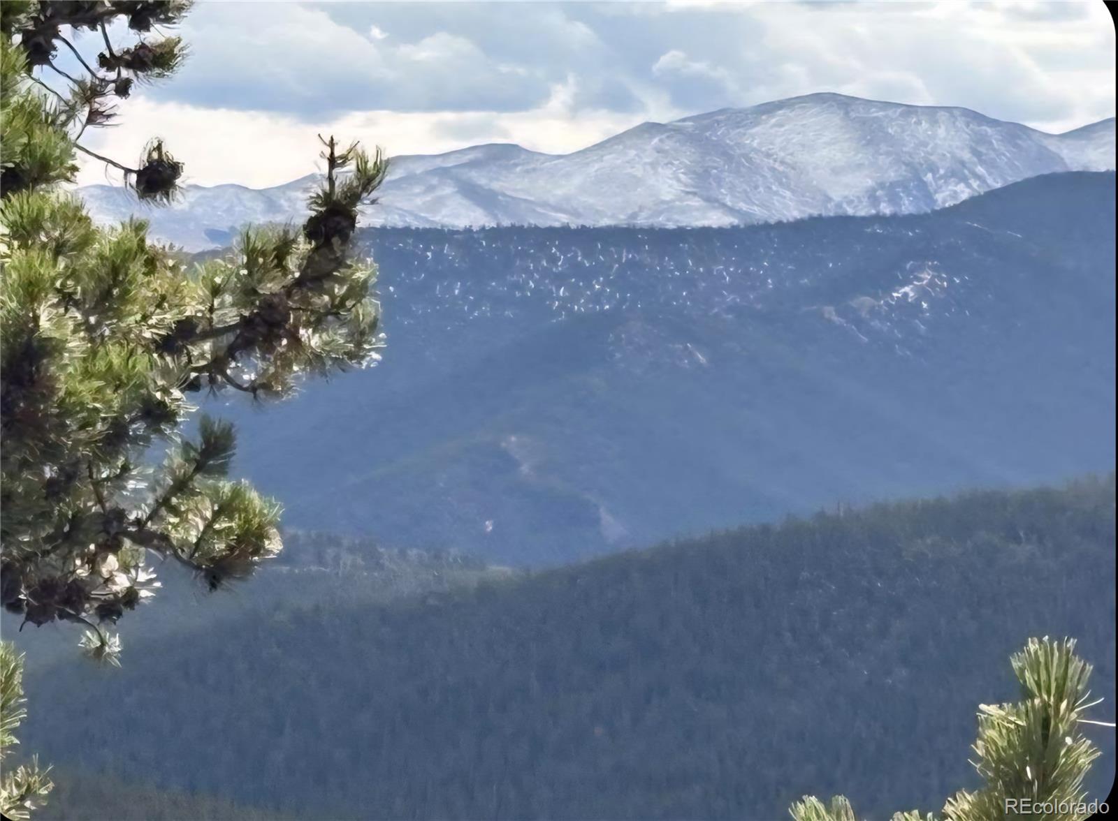 491 Hilltop Road Idaho Springs, CO 80452 - Photo 19 of 19 a view of a flower in a yard
