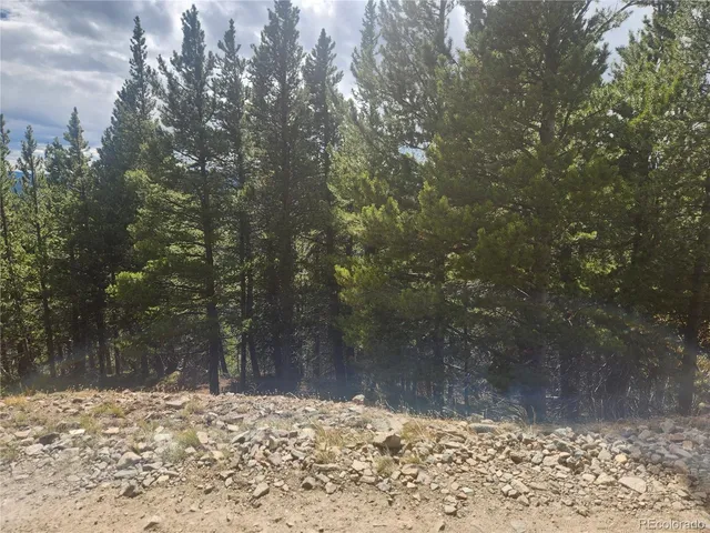 a view of a yard with trees
