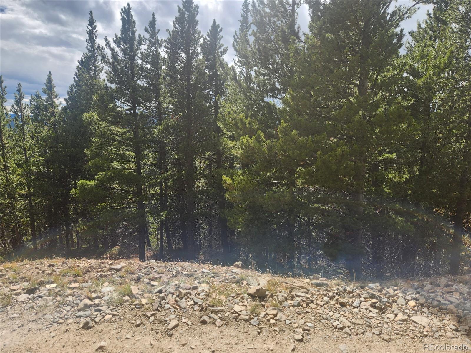491 Hilltop Road Idaho Springs, CO 80452 - Photo 5 of 19 a view of a yard with trees