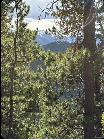 a view of outdoor space and a yard