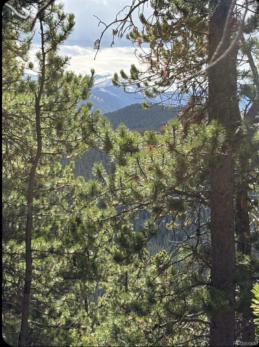 491 Hilltop Road Idaho Springs, CO 80452 - Photo 7 of 19 a view of outdoor space and a yard