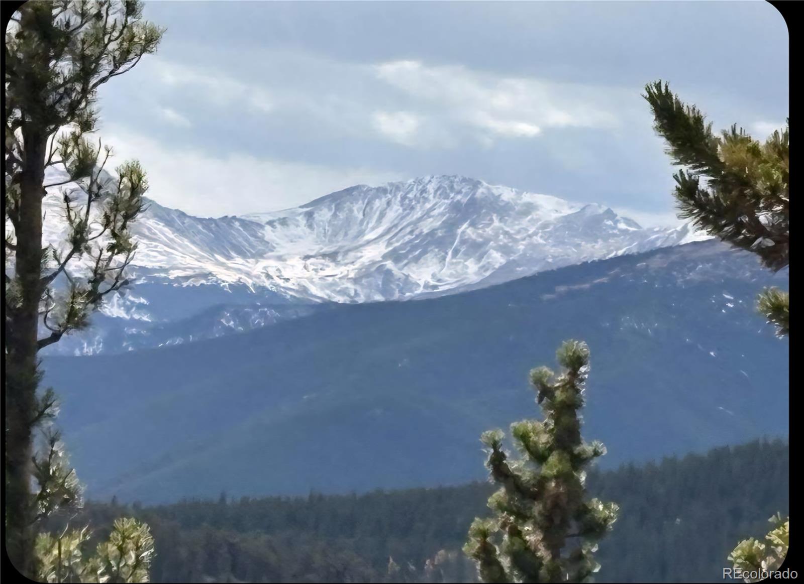 491 Hilltop Road Idaho Springs, CO 80452 - Photo 9 of 19 a view of a tree in front of a house