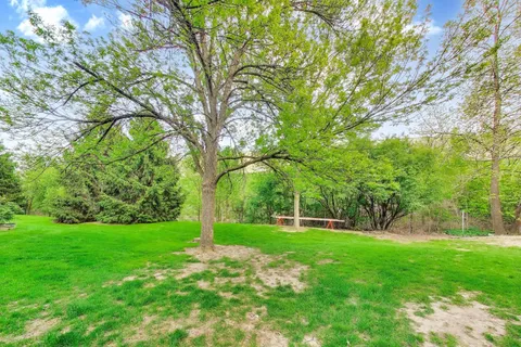 a view of a park with large trees