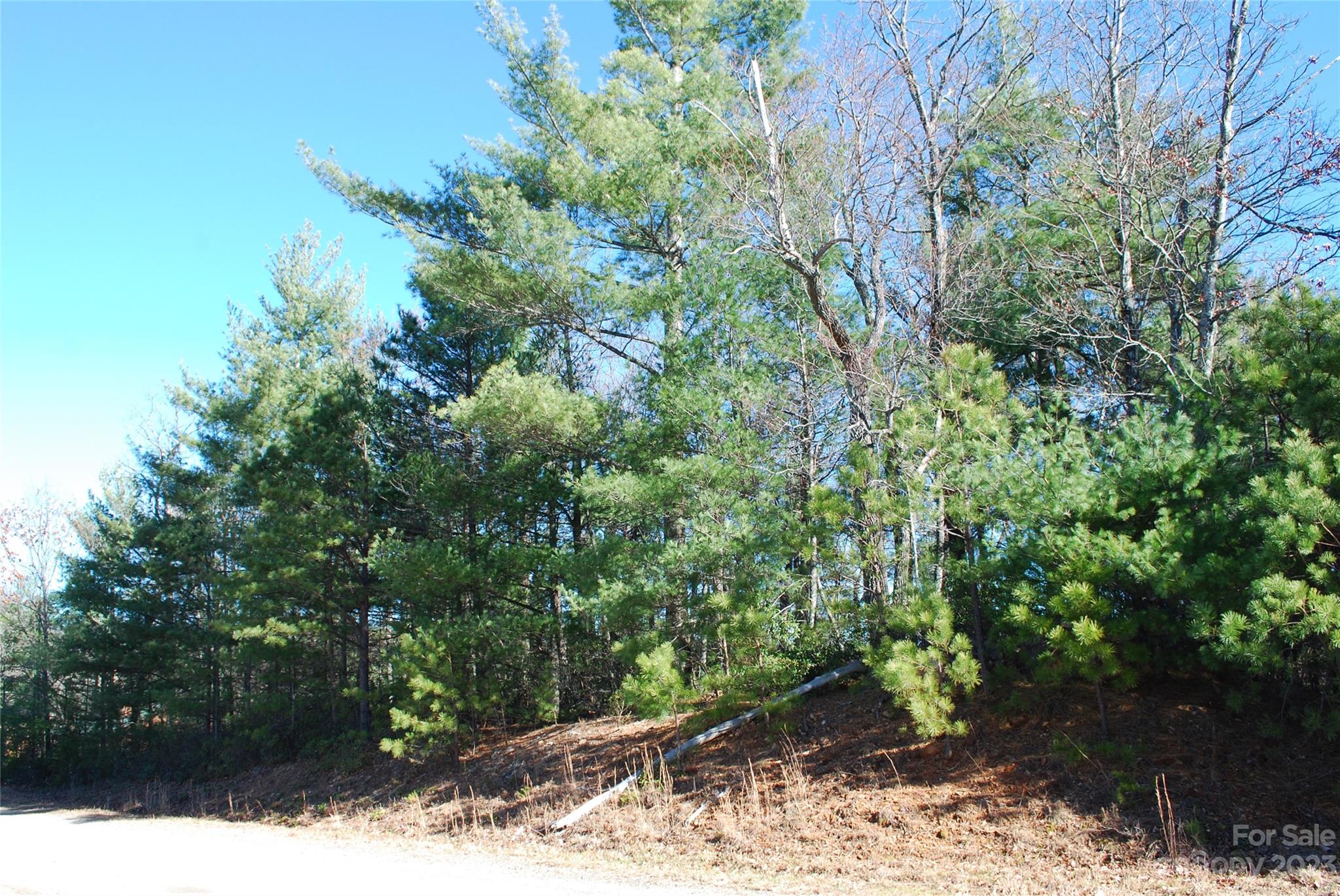 Tbd Staghorn Road, Unit 143 Purlear, NC 28665 - Photo 19 of 30 Gallery Image 19