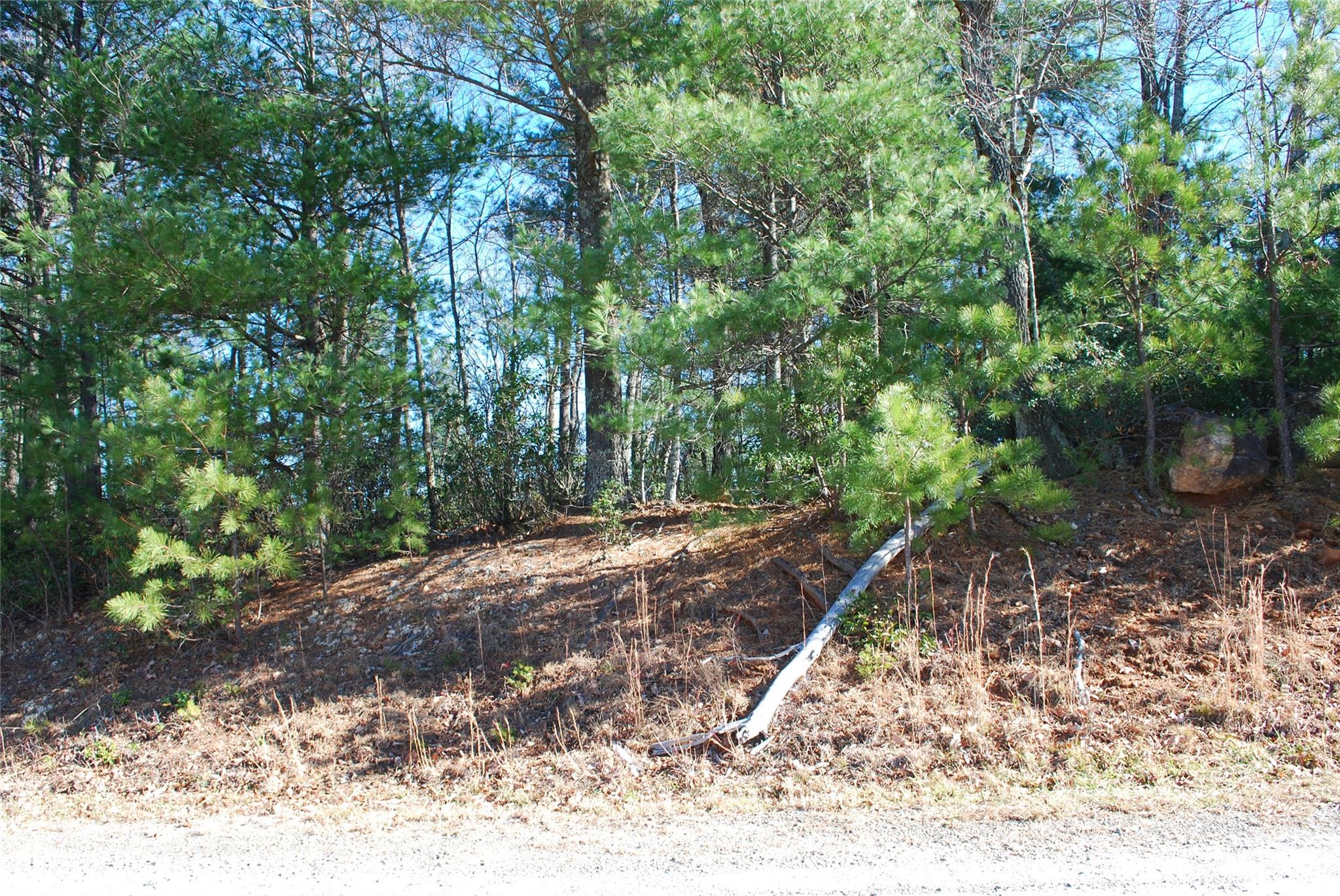 Tbd Staghorn Road, Unit 143 Purlear, NC 28665 - Photo 23 of 30 Gallery Image 23