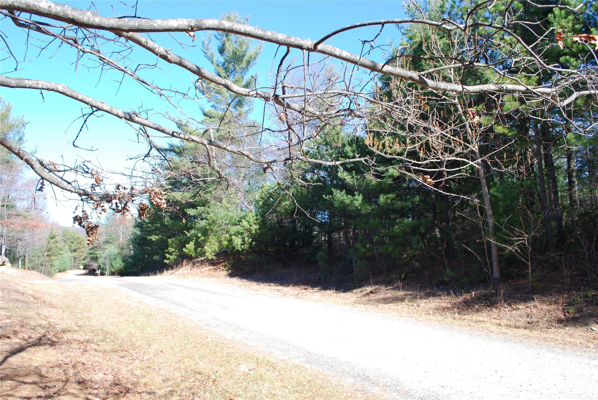 Tbd Staghorn Road, Unit 143 Purlear, NC 28665 - Photo 25 of 30 Gallery Image 25