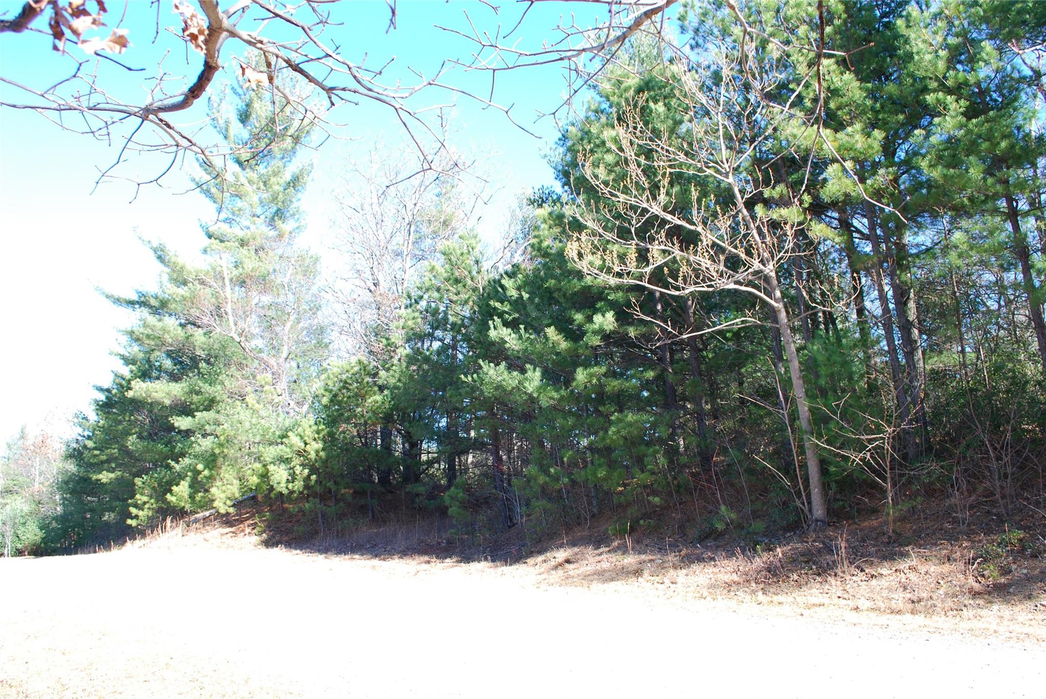 Tbd Staghorn Road, Unit 143 Purlear, NC 28665 - Photo 26 of 30 Gallery Image 26