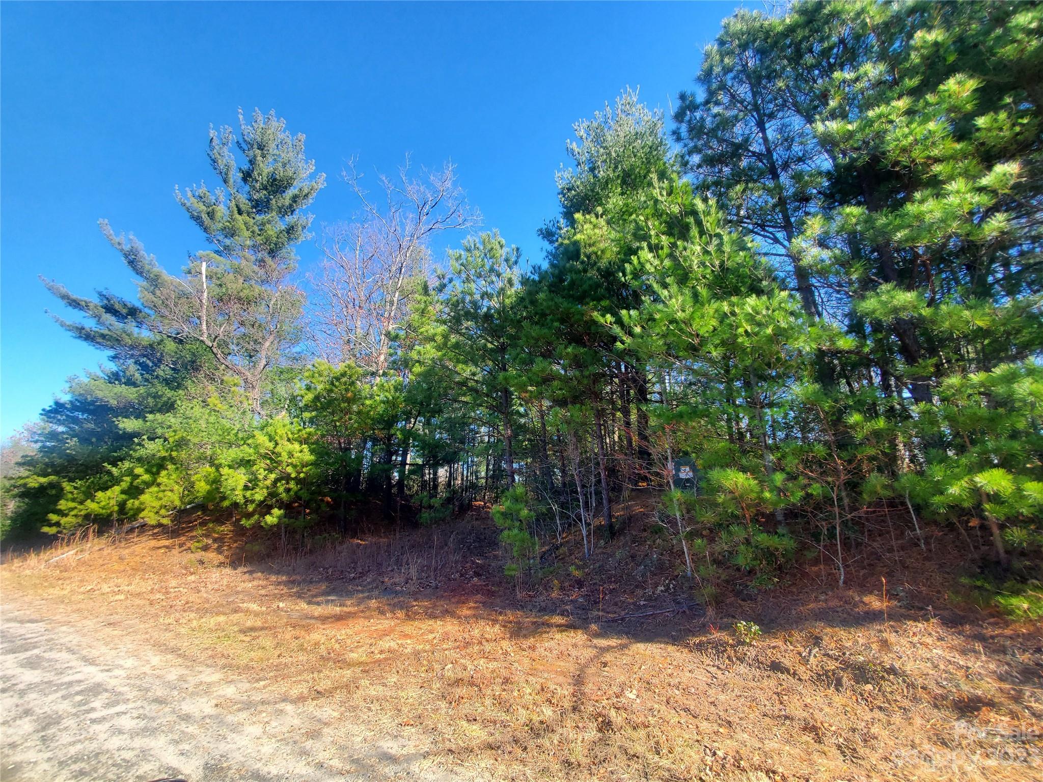 Tbd Staghorn Road, Unit 143 Purlear, NC 28665 - Photo 3 of 30 Gallery Image 3