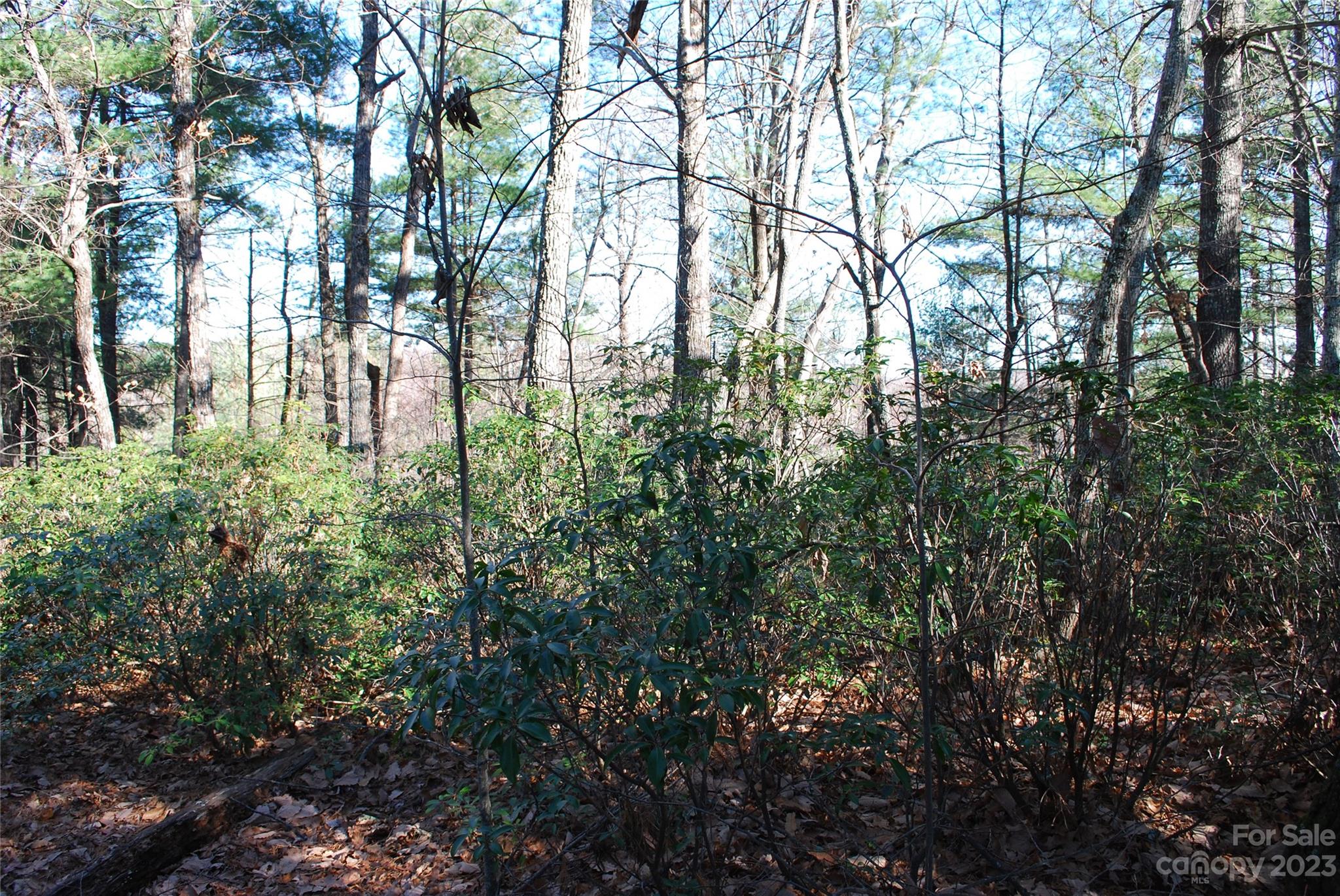 Tbd Staghorn Road, Unit 143 Purlear, NC 28665 - Photo 8 of 30 Gallery Image 8