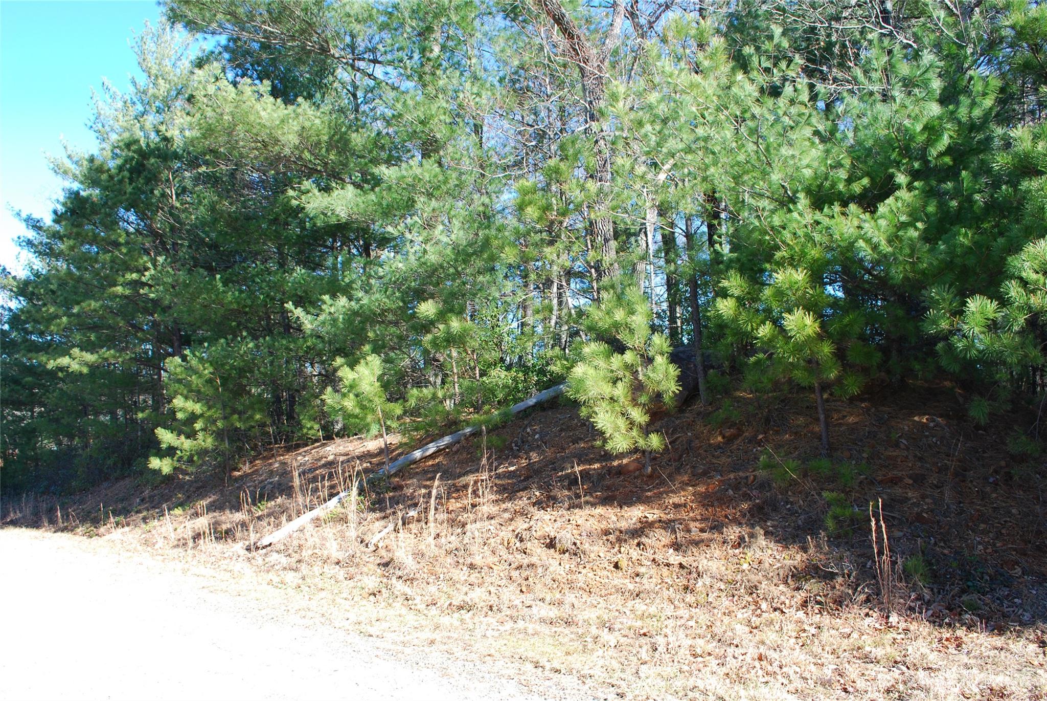 Tbd Staghorn Road, Unit 143 Purlear, NC 28665 - Photo 10 of 30 Gallery Image 10