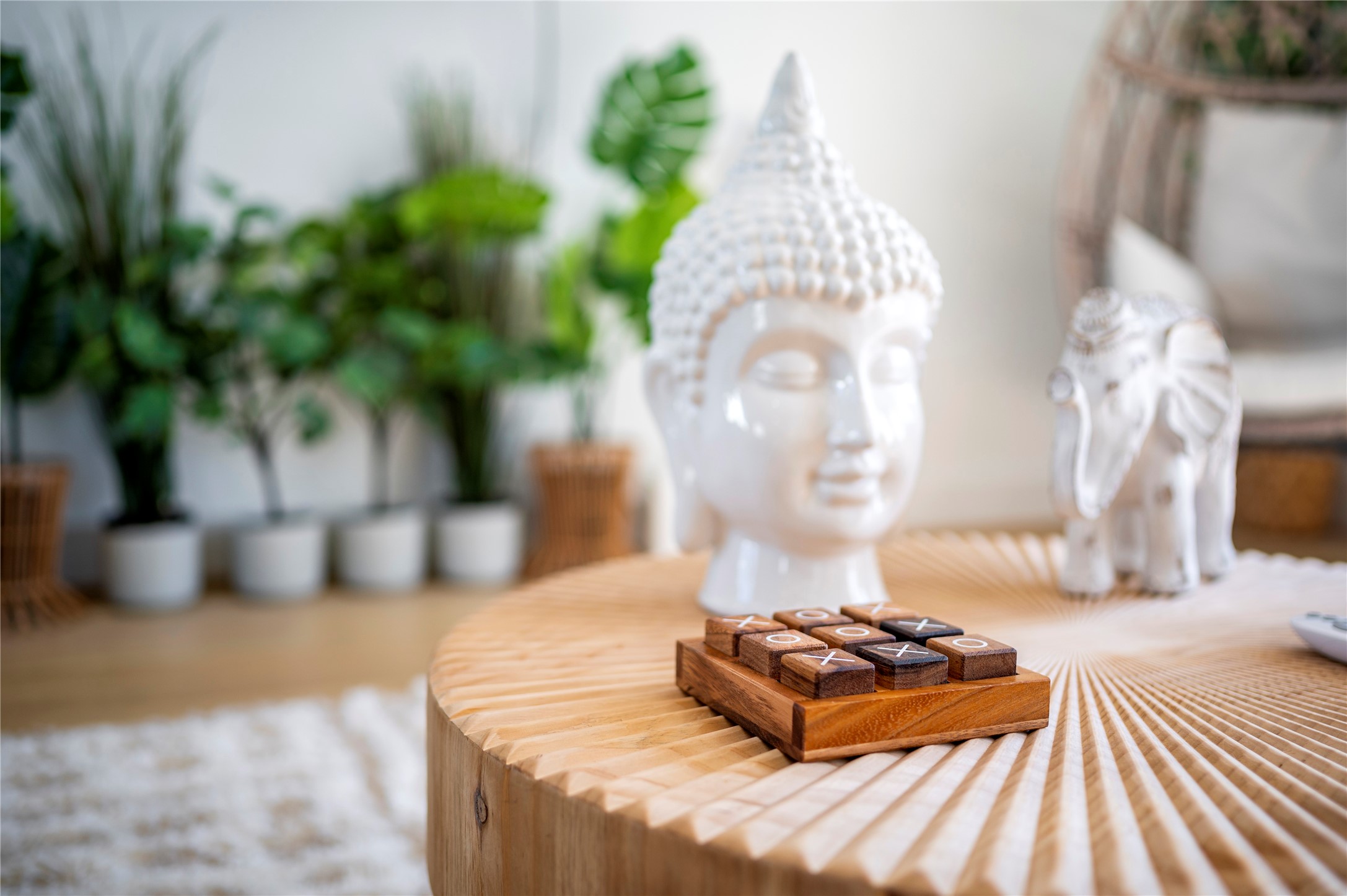2721 Rosalie Street Houston, TX 77004 - Photo 8 of 44 a living room with chairs and a potted plant