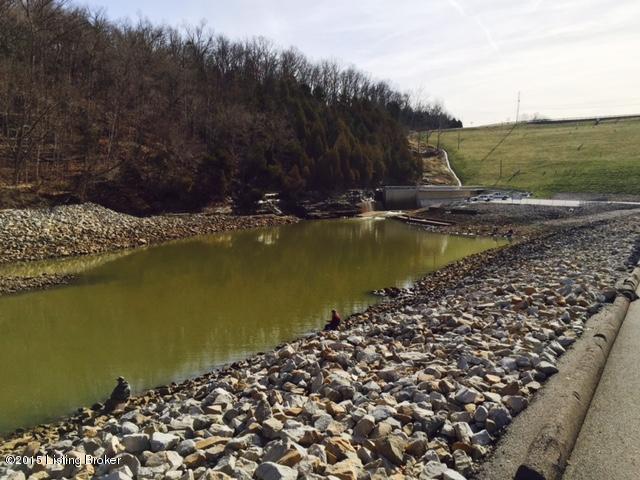 5 Shores Road Falls Of Rough, KY 40119 - Photo 7 of 10 Rough River Spillway