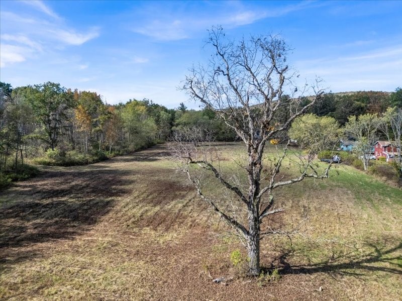 111 Mountain Road, Unit LOT 1 Windsor, NY 13865 - Photo 4 of 11 Gallery Image 4