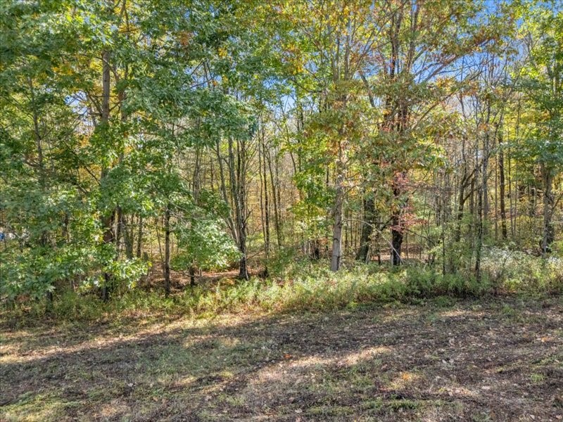 111 Mountain Road, Unit LOT 1 Windsor, NY 13865 - Photo 6 of 11 Gallery Image 6