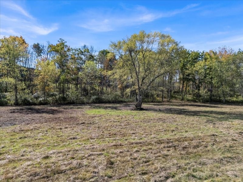 111 Mountain Road, Unit LOT 1 Windsor, NY 13865 - Photo 9 of 11 Gallery Image 9
