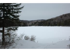 466 Laurel Lake Road Whitingham, VT 05342 - Photo 7 of 12
