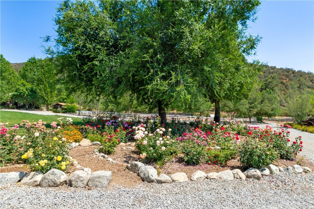 37547 Oak Glen Road Yucaipa, CA 92399 - Photo 32 of 67