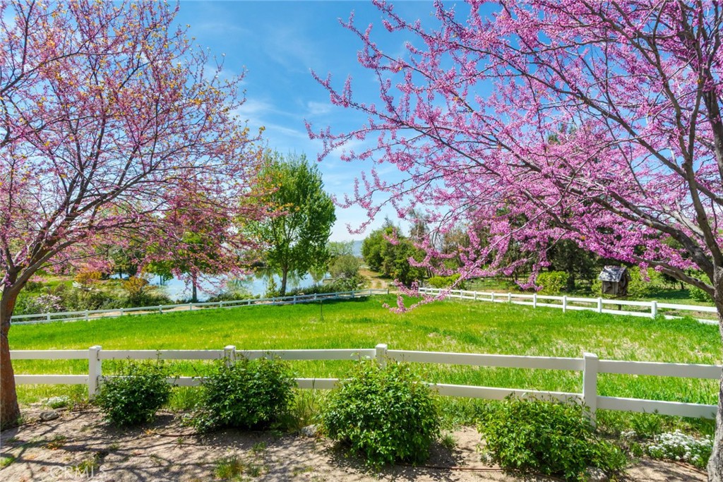 37547 Oak Glen Road Yucaipa, CA 92399 - Photo 4 of 67