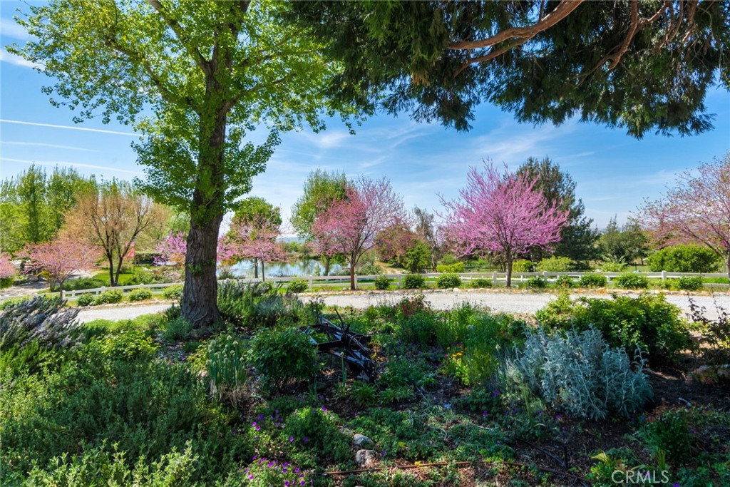 37547 Oak Glen Road Yucaipa, CA 92399 - Photo 6 of 67