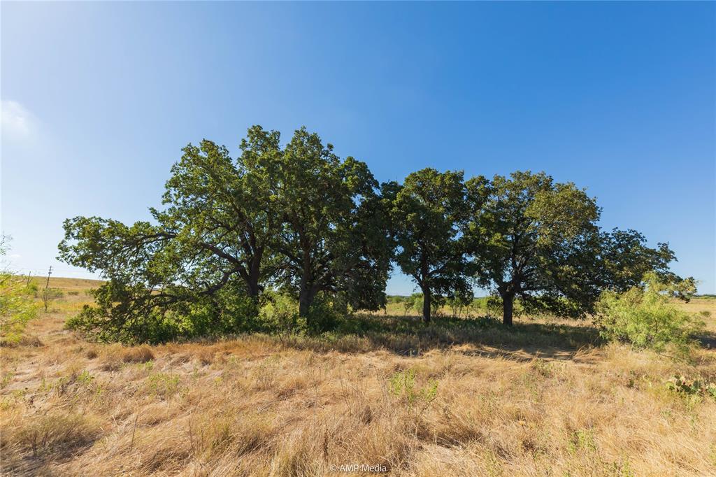 147 Turtle Hole Road Graham, TX 76450 - Photo 11 of 27