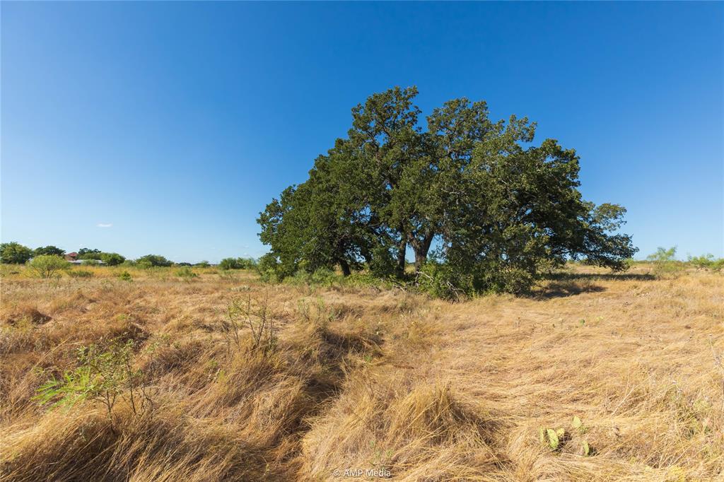 147 Turtle Hole Road Graham, TX 76450 - Photo 13 of 27