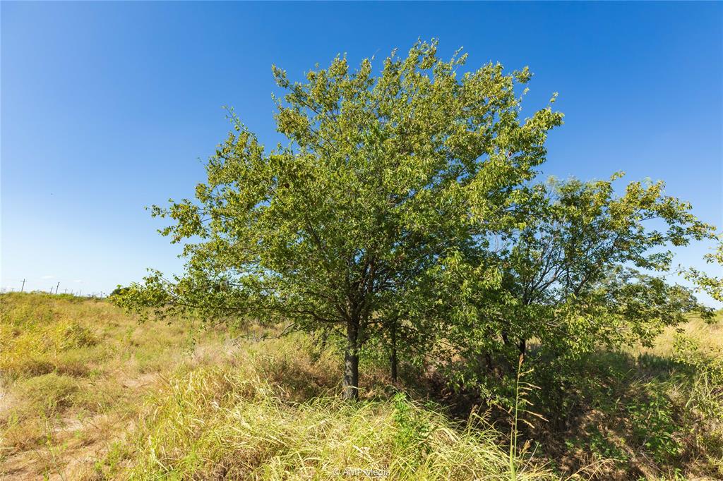 147 Turtle Hole Road Graham, TX 76450 - Photo 17 of 27