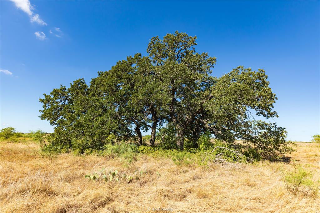 147 Turtle Hole Road Graham, TX 76450 - Photo 19 of 27