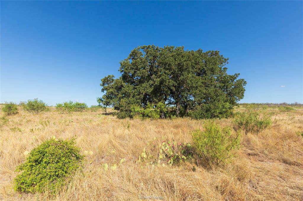 147 Turtle Hole Road Graham, TX 76450 - Photo 20 of 27