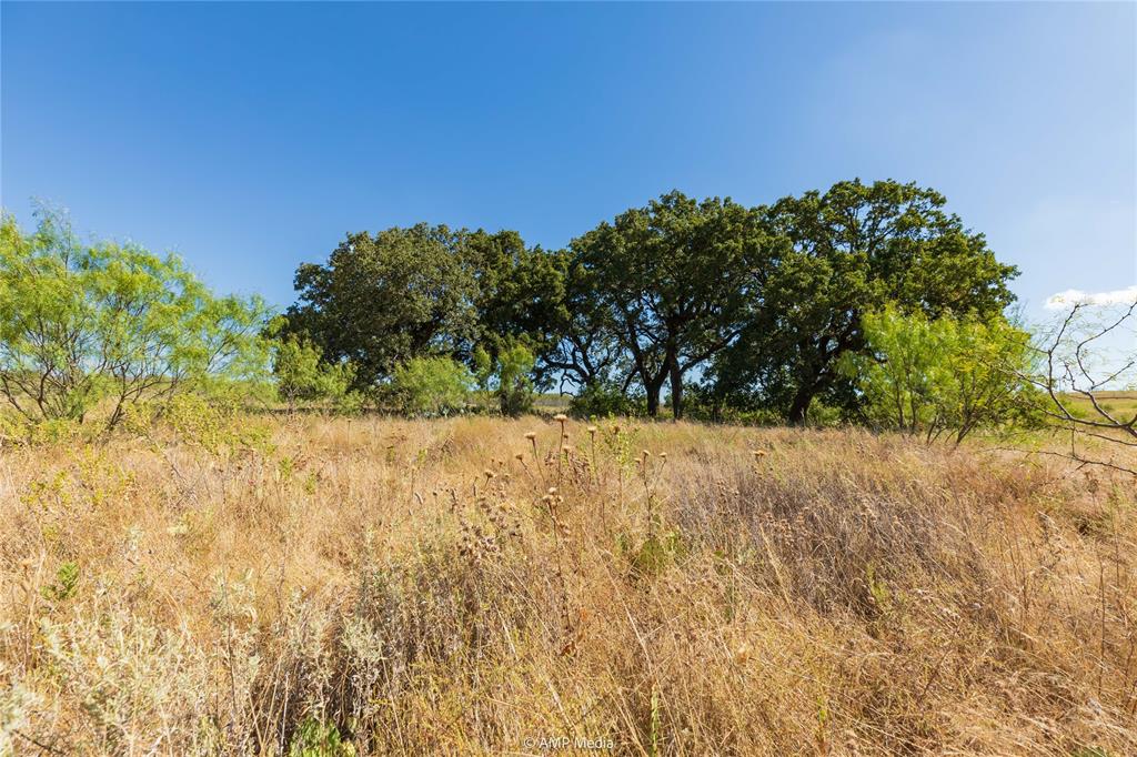 147 Turtle Hole Road Graham, TX 76450 - Photo 26 of 27