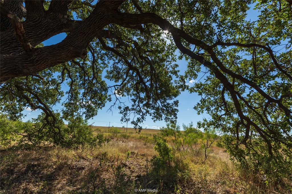 147 Turtle Hole Road Graham, TX 76450 - Photo 27 of 27