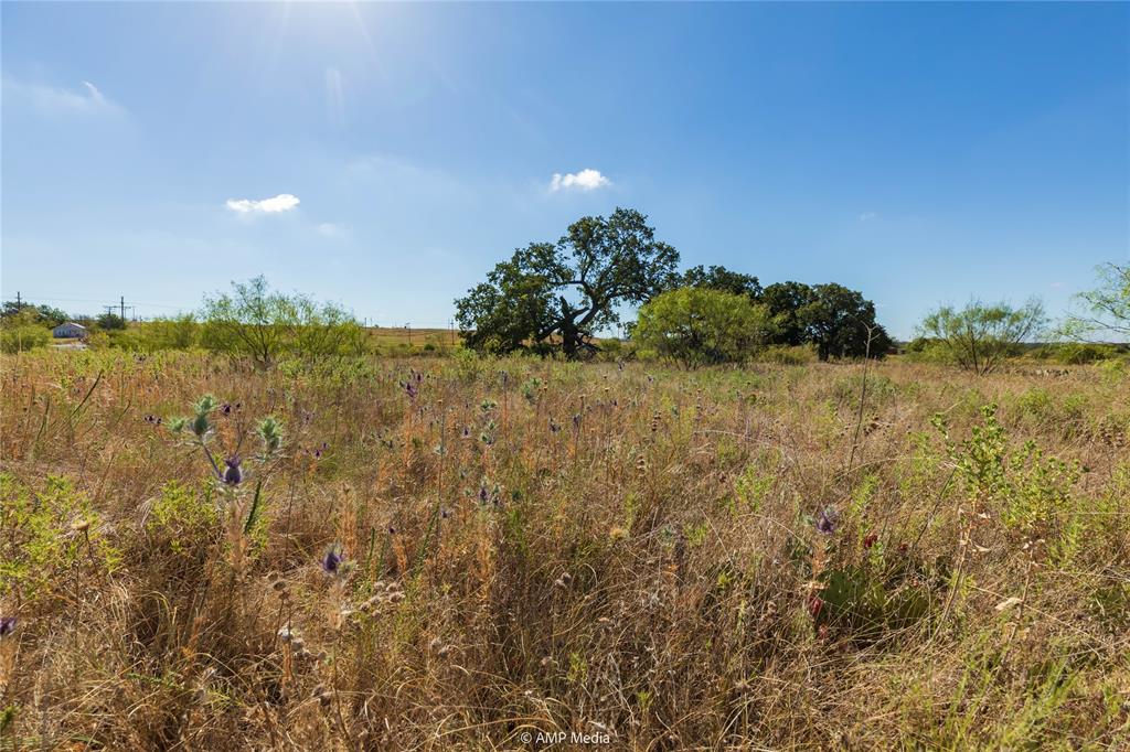 147 Turtle Hole Road Graham, TX 76450 - Photo 3 of 27