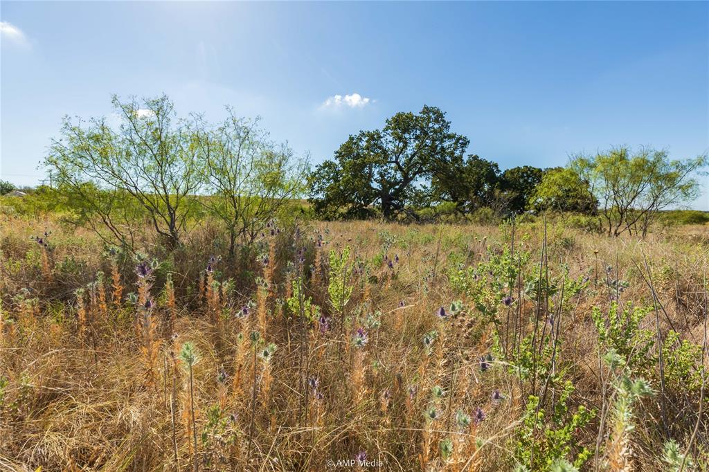 147 Turtle Hole Road Graham, TX 76450 - Photo 4 of 27