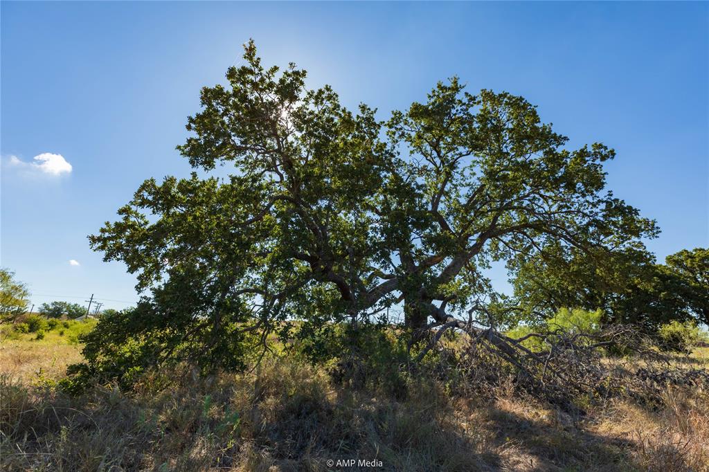 147 Turtle Hole Road Graham, TX 76450 - Photo 8 of 27
