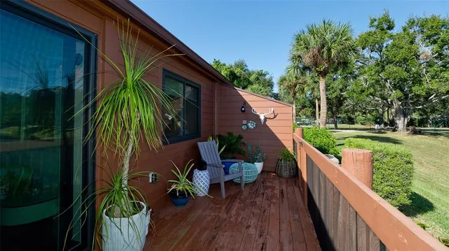 a view of a backyard with plants