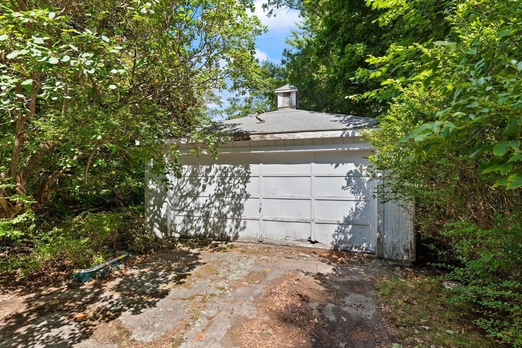 17 Pine Road Sharon, MA 02067 - Photo 28 of 33 a view of a yard with plants and trees