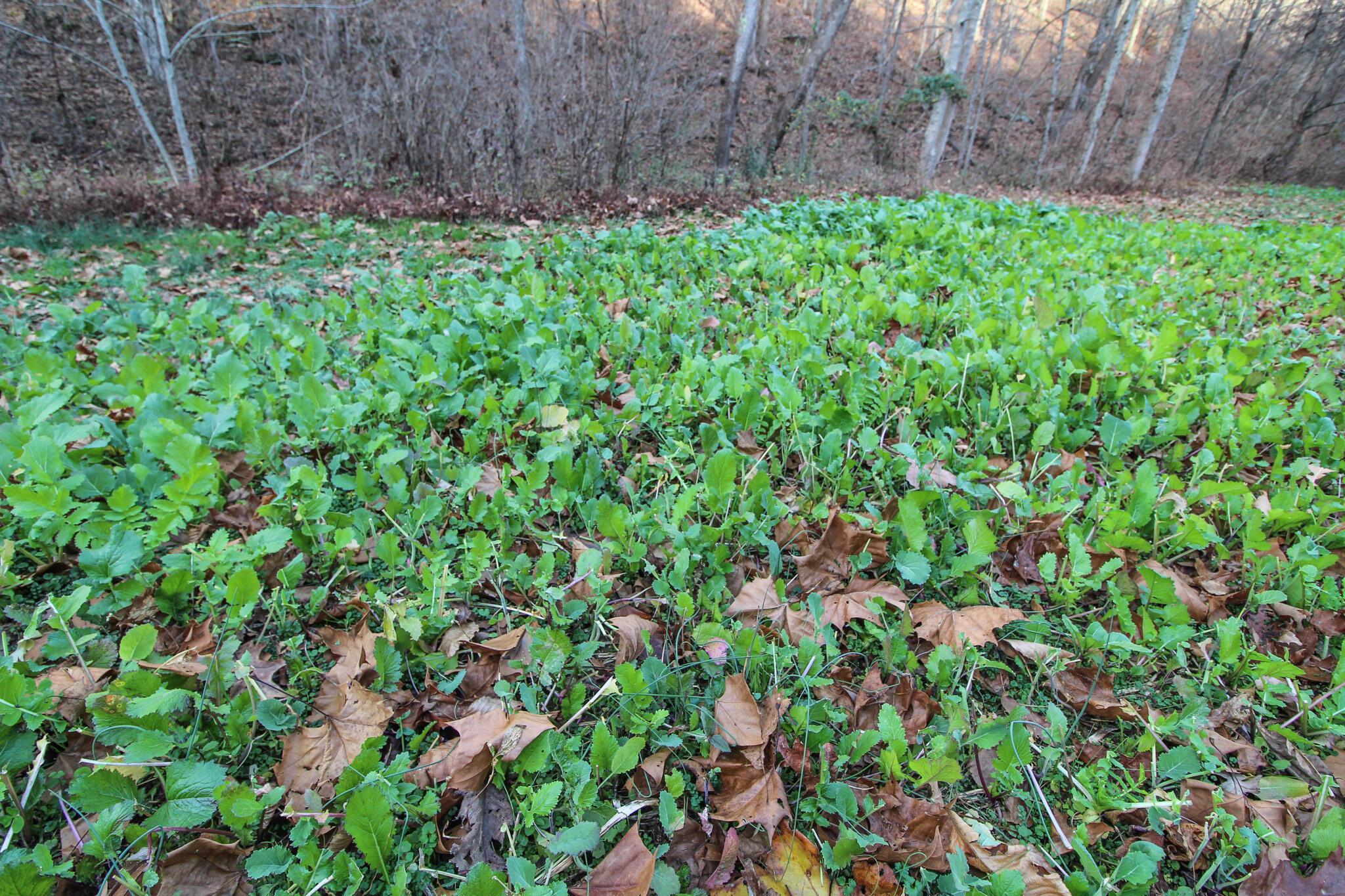 35335 Paw Paw Road, Unit R Lower Salem, OH 45745 - Photo 26 of 43 IMG_5634