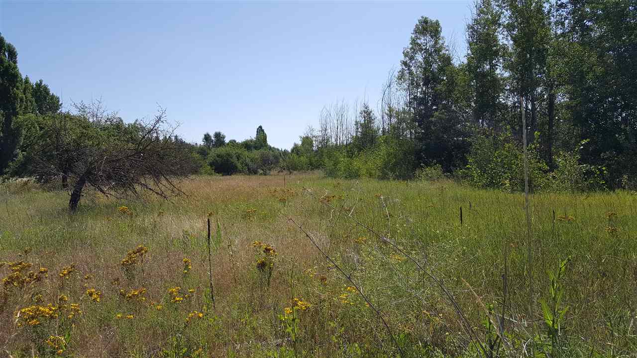 3621 West Findley Road Deer Park, WA 99006 - Photo 4 of 5