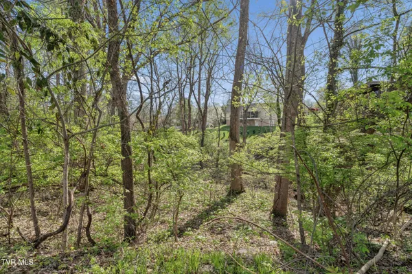 $549,900 | 1823 Woodhaven Drive, Elizabethton, TN 37643