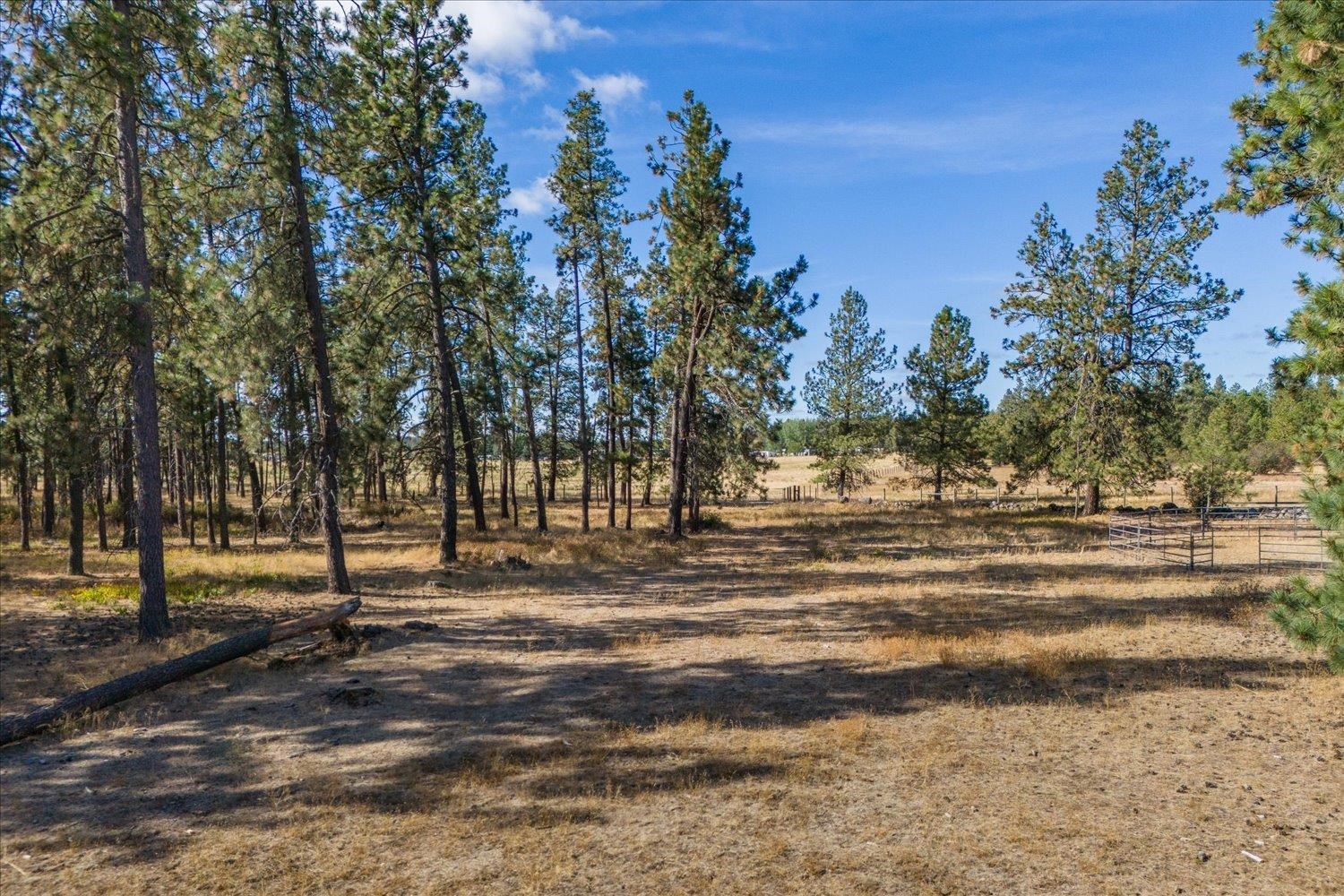 102 East Cameron Road Spangle, WA 99031 - Photo 6 of 15 Gallery Image 6